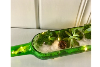 Plant Nite: Wine Bottle Terrarium w/ Fairy Lights